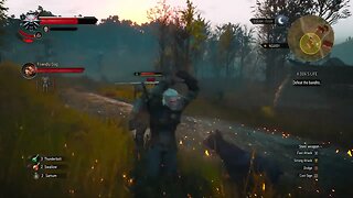 THE WITCHER 3 WILD HUNT Part 29 Helping a friendly dog