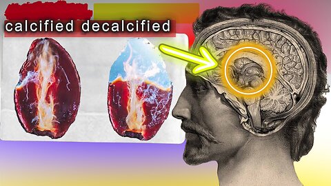 The Secret To Decalcifying The Pineal Gland - Here's How!