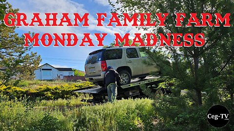 Graham Family Farm: Monday Madness