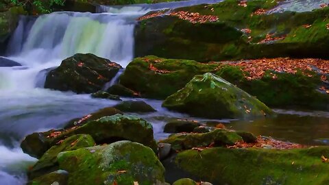 Summer Friends | Chance the Rapper | Smoky Mountain Montage