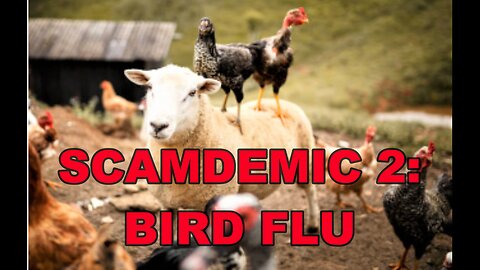 SCAMDEMIC 2: BIRD FLU