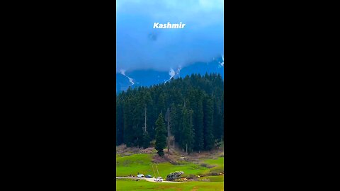 Kashmir