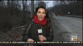 "Hundreds of Dead Fish" Found Belly Up in Stream Located In East Palestine, Ohio