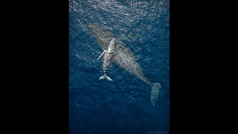 Share the beauty of the sea in aerial photography