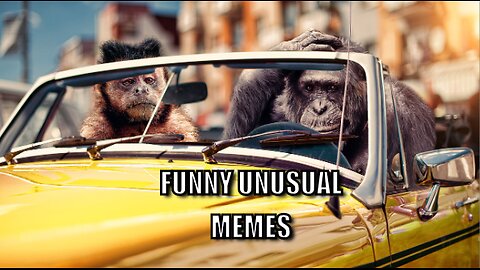 7 Minutes Of Funny And Unusual Memes!