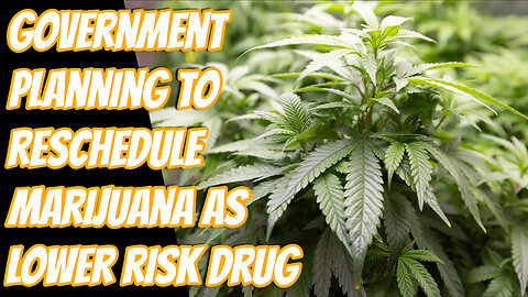 The Long Overdue Legalization and Rescheduling of Marijuana
