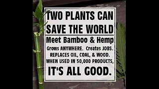 #849 TWO PLANTS CAN SAVE THE WORLD LIVE FROM THE PROC 05.03.24