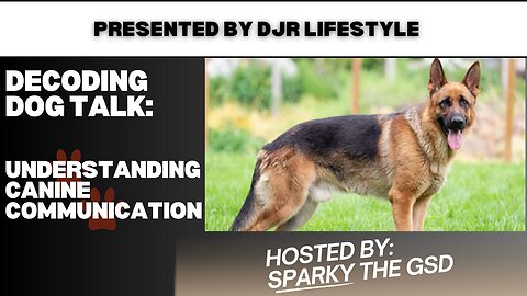 Decoding Dog Talk: Understanding Canine Communication with Sparky The GSD!