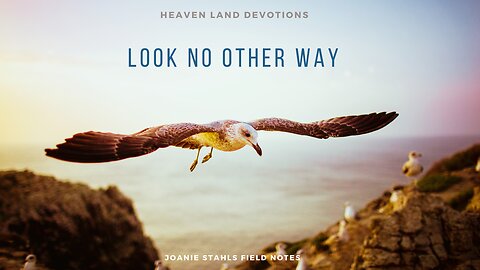 Heaven Land Devotions - Look No Other Way