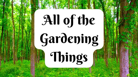 Chemical-Free Gardening in a Woods (Spring Non-Toxic Garden Tour)