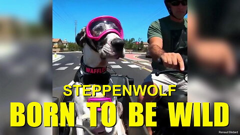 STEPPENWOLF - BORN TO BE WILD