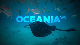 Oceania VR - Release Trailer | Meta Quest