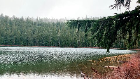 Arriving at & Exploring Lower & Upper Twin Lakes! | Pacific Crest Trail | Mount Hood | Oregon | 4K