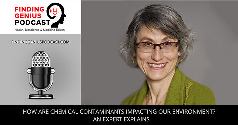 How Are Chemical Contaminants Impacting Our Environment An Expert Explains