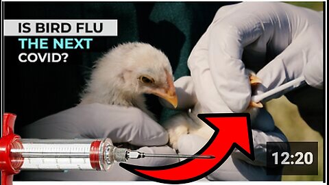 THE 'BIRD FLU' WILL BE THE NEXT PLANNED GLOBAL 'PANDEMIC' LIKE 'COVID'