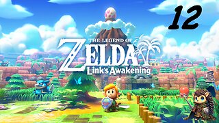 Hunting Hearts & Seashells - Zelda: Link’s Awakening [12]