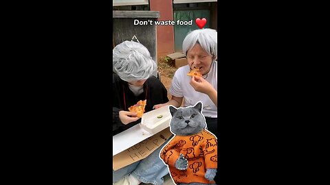 🤗Fresh Pizza Brings Joy To Homeless People!🍕🥒 | Don’t Waste Food #funnycat #catmemes #trending