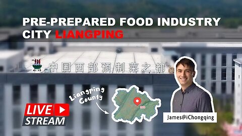 Chongqing Liangping: Western China Pre-prepared Food Industry City