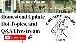 Homestead Update Live Stream: Pt 2