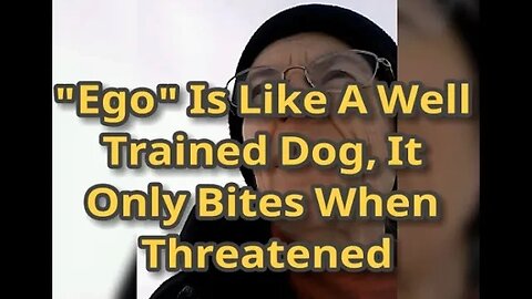 Morning Musings # 402 - "Ego" Is Like A Well Trained Dog, It Only Bites When It Feels Threatened.