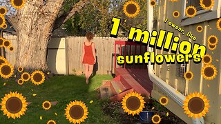 🌻 A Windy Day in May 🍃 (Relaxing Yard Work & Seed Planting)