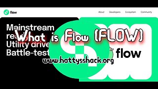 What is Flow (FLOW)