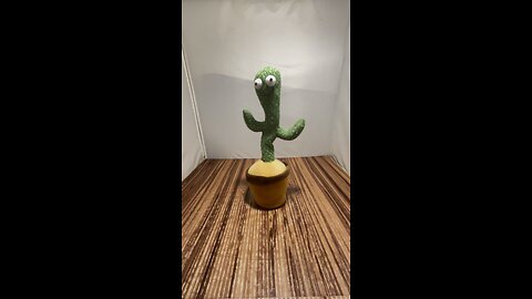 Animated Dancing Cactus - Songs Plus Playback Feature - Repeats What You Say