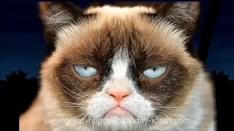 GRUMPY CAT HAPPY BIRTHDAY SONG Too Funny 😂🤣 #cat