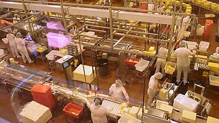 trabalhadores de fábrica operando fábrica de queijo