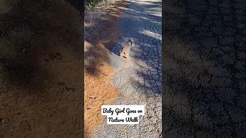 Baby Girl Takes us on a Nature Walk #shorts