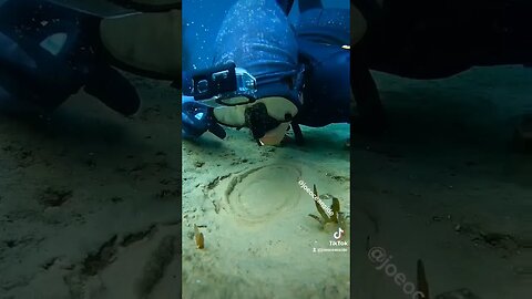 This got 34 million views (Underwater phenomenon!) #nature #scubadiving