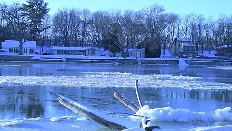 Rock River Starting to Freeze! Backyard 1/31/2023