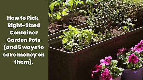 Container Gardening Pt 2: How to Pick the Right Sized Container Garden Pots