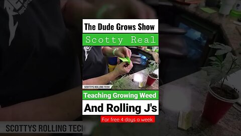 Want to learn to Grow Bud?? Subscribe & Learn for Free Now!! 🔥The Dude Grows Show 🔥