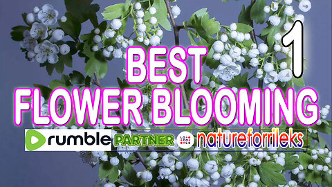 Best Flower Blooming Part-1