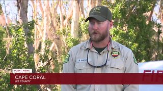 Why hurricane debris could increase fire risk in SWFL