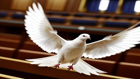 MEP releases 'peace dove' from bag in European Parliament.