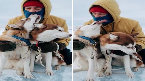 Snow Day Shenanigans with Man's Best Friend