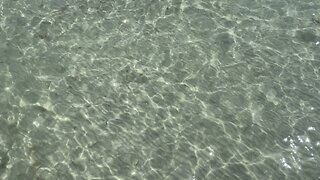 Clear and inviting water at Fort De Soto April 24 2024