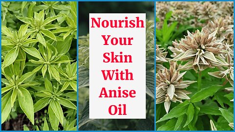 Nourish Your Skin Aith Anise: A Natural Beauty Essential