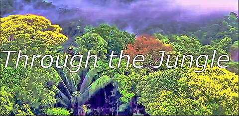 Through the Jungle by Lubomir Kavaldjiev (2024)