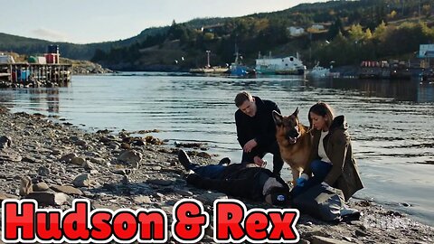 Hudson & Rex 2024 - Canine Crime Solvers💖Hound and Vision💖Hudson & Rex Full Episode