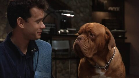 Turner and Hooch "You're not any kind of a monster dog are ya?"