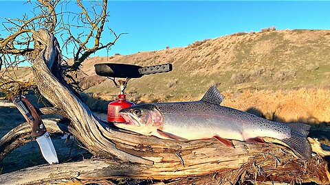 BIG TROUT Fishing & ANIMAL ATTACK on my Property!!! (Catch & Cook)