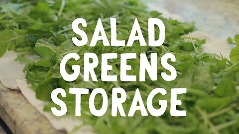 Storing Your Fresh Salad Greens!