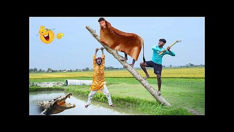 Trending Comedy Video 2024 New Amazing Funny Video
