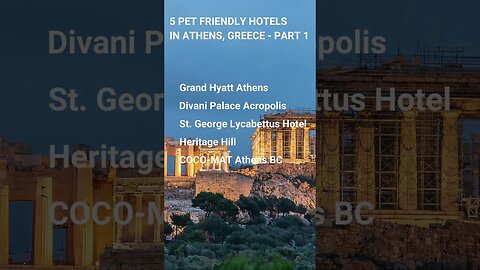 Pet Friendly Hotels in Athens, Greece Part 1