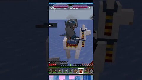 FBF to the best landing i've ever seen in minecraft