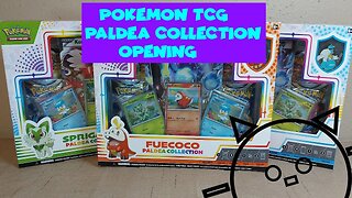 Paldea Collection Sets (Pokemon TCG Opening)