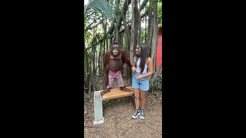 funny video clip for gorilla 🦍 his nature is very good.